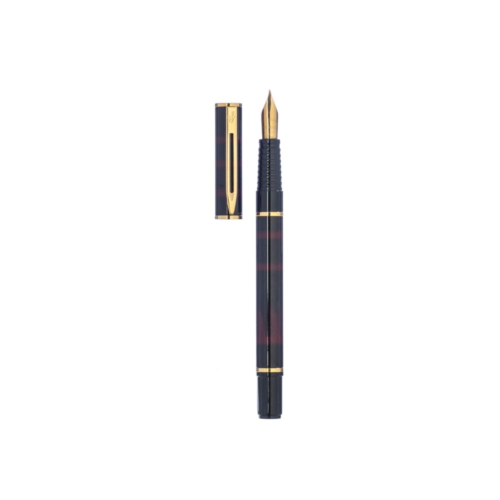 Canetas - Caneta Waterman; Laureat