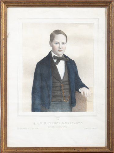 Litografia - S.A. R. D. Fernando Infante de Portugal - Século XIX