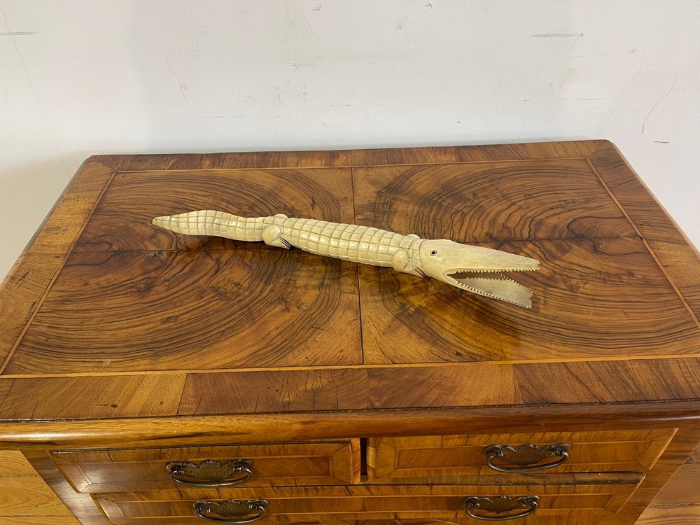 Crocodilo em matéria córnea